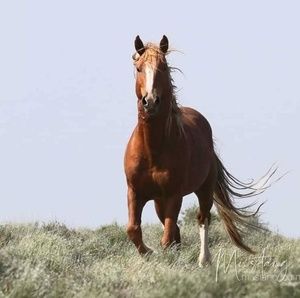 Meet your Posher, Donnita